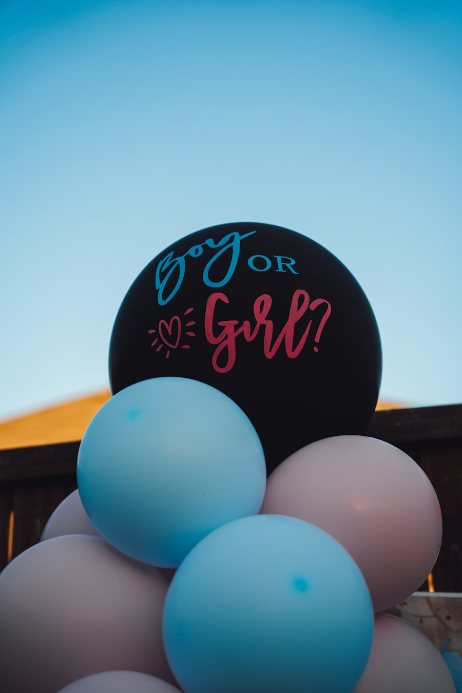 Gender reveal bal – roze poeder